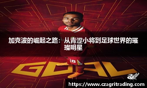 suncitygroup太阳新城平台
