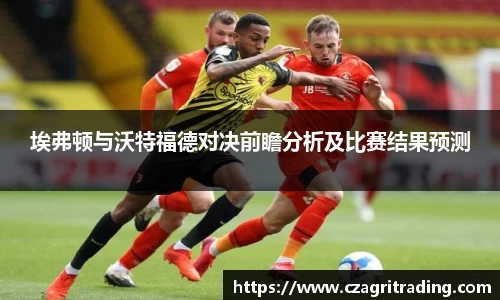 埃弗顿与沃特福德对决前瞻分析及比赛结果预测